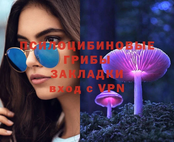 мдпв Навашино